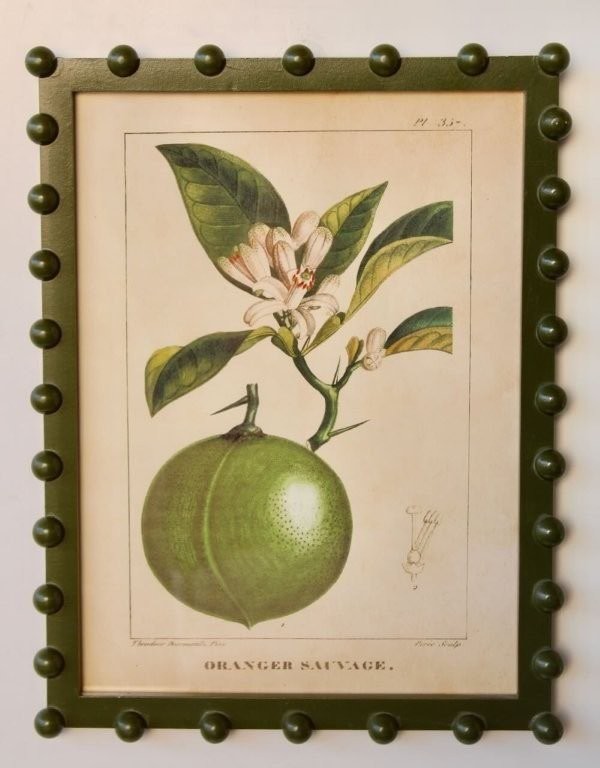 Fruit Picture Green Bobble Frame
